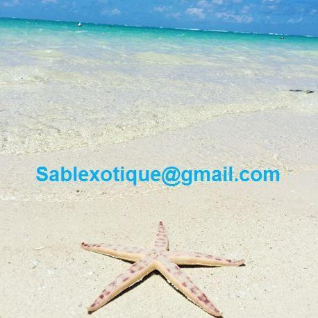Sablexotique Daire Pointe d'Esny Dış mekan fotoğraf